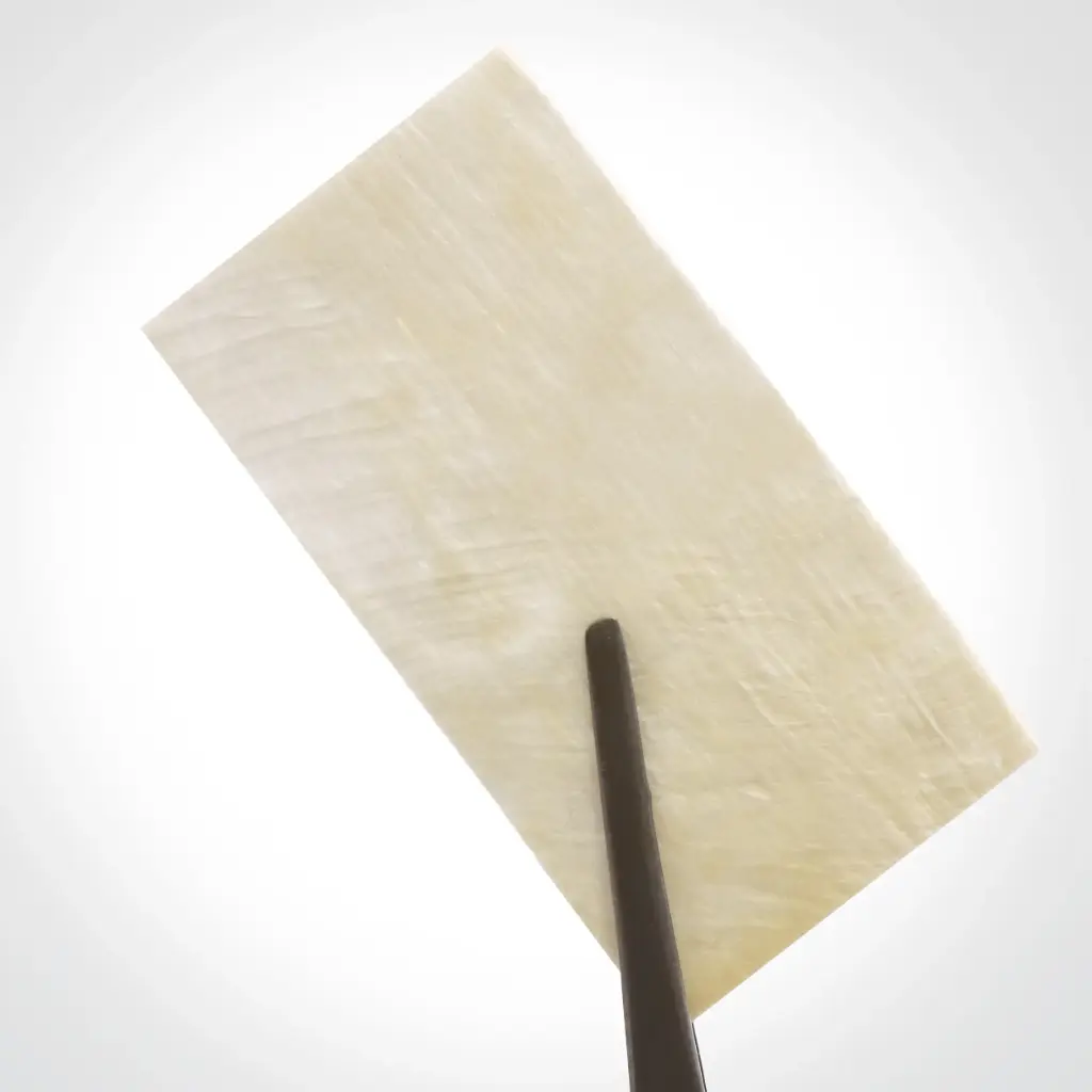 ممبران فاشیالاتا