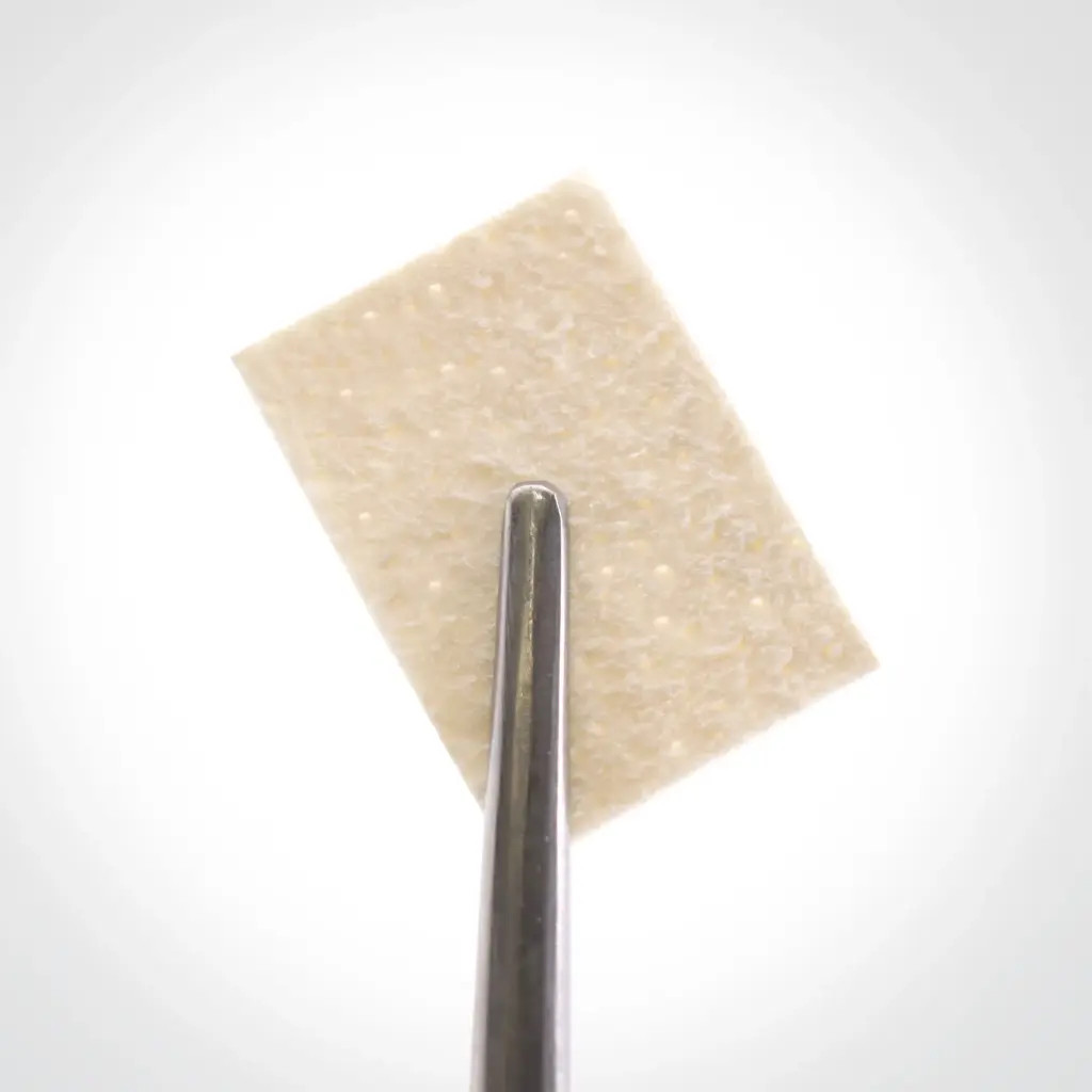 ممبران آسلولار درمیس (پوست آسلولار) 