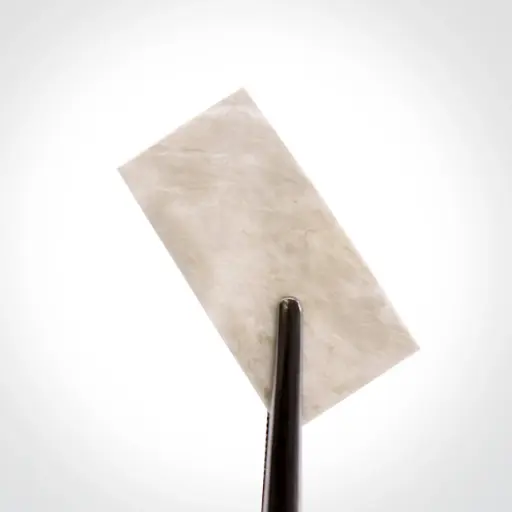 پریکاردیوم